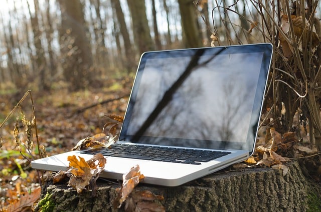 laptop on a tree log
